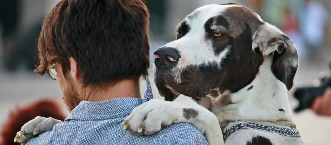 Ο φόβος της μοναξιάς και πώς να απεμπλακείτε από αυτόν